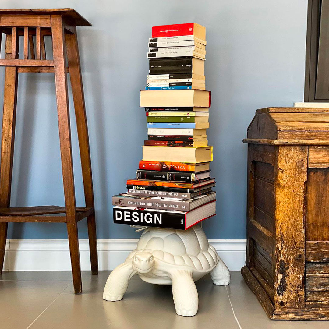 Turtle Carry Bookcase
