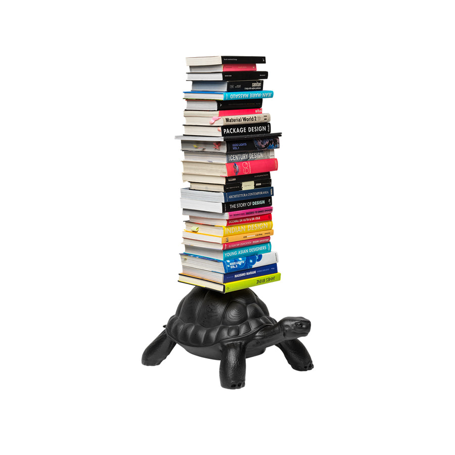 Turtle Carry Bookcase
